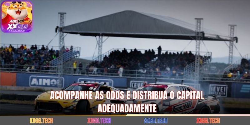 Acompanhe as odds e distribua o capital adequadamente
