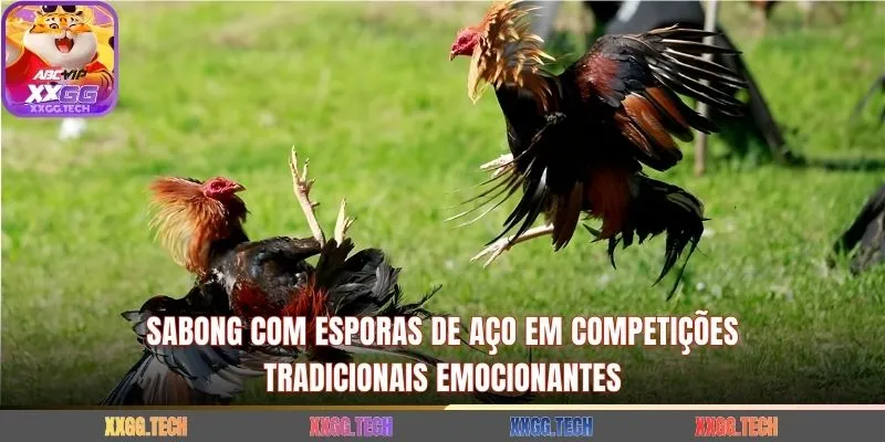 Sabong com esporas de aço em competições tradicionais emocionantes
