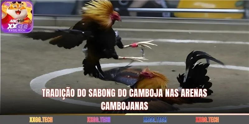 Tradição do sabong do Camboja nas arenas cambojanas